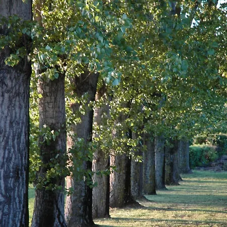 La Bastide Saint Martin 卡尔卡松